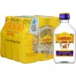 GIN GORDON  37.5% MINIATURES PET 12*5cl