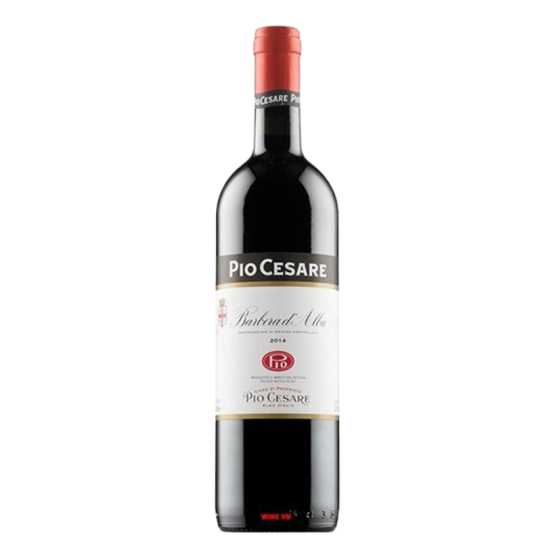 BARBERA D’ALBA DOC PIO CESARE 2023 – 75 CL